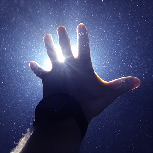 BreathHold vs Freediving Apnea Trainer: Which App Fits Your Level?