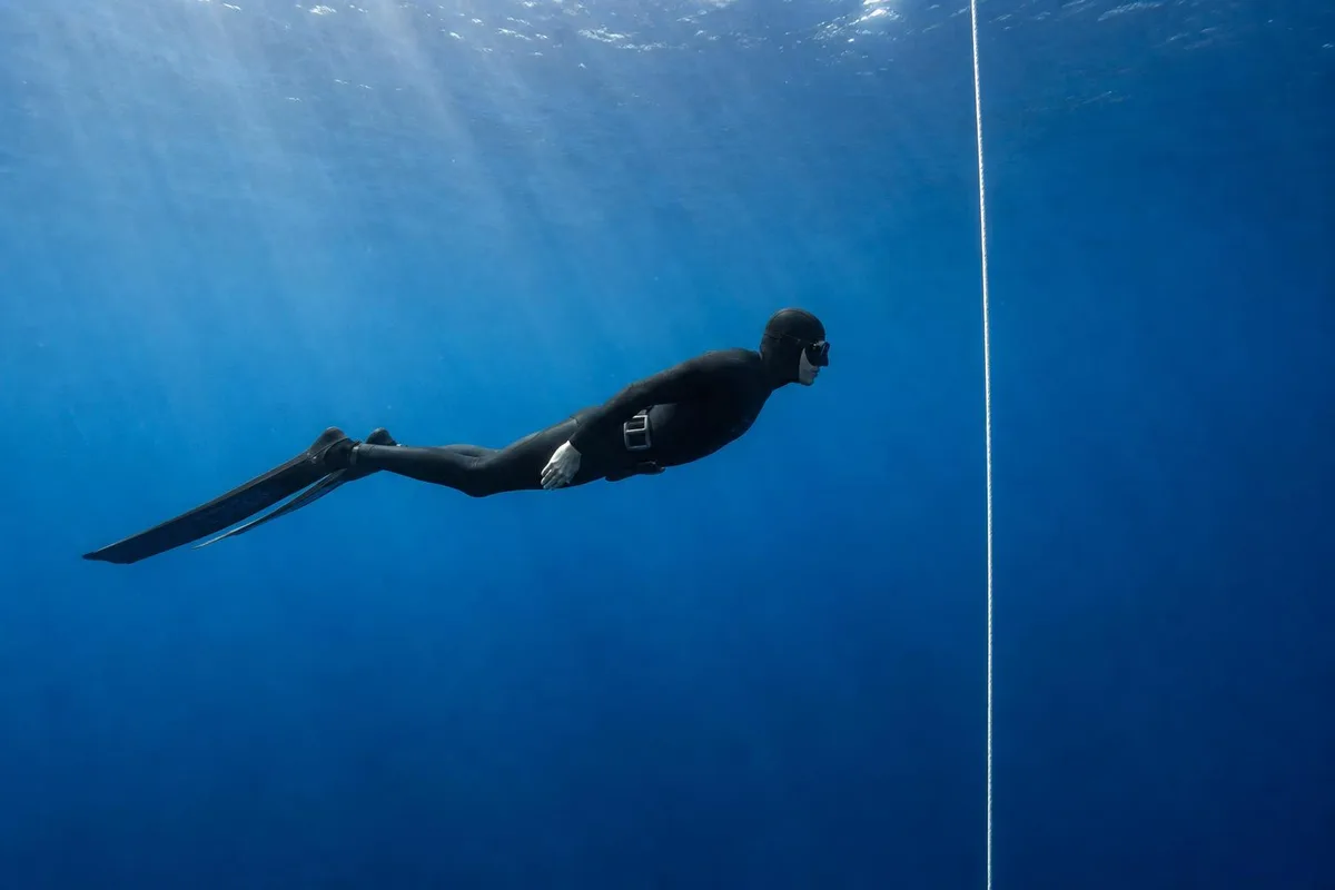 Apnea Education Freediving School website preview