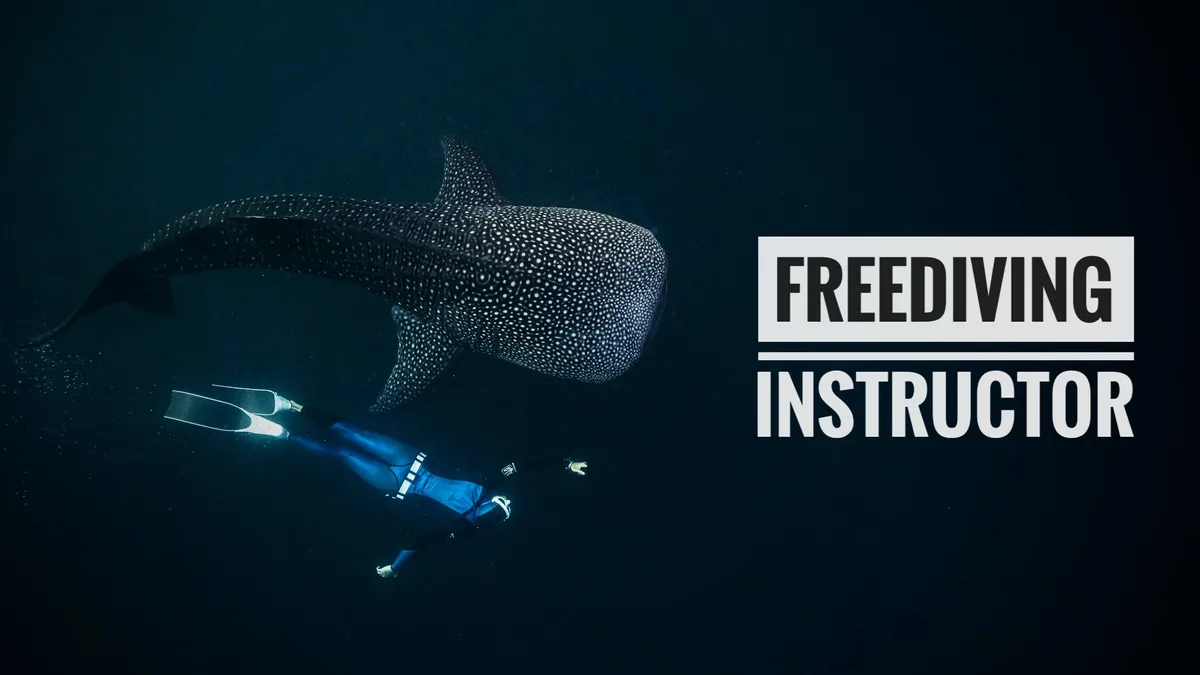 Aquantica Freediving School website preview