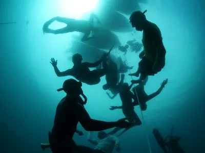 Auckland Freediving Club website preview