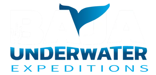 Baja Underwater Expeditions logo from its official website