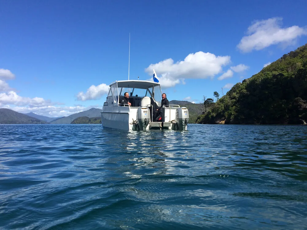 Blenheim Dive Centre website preview