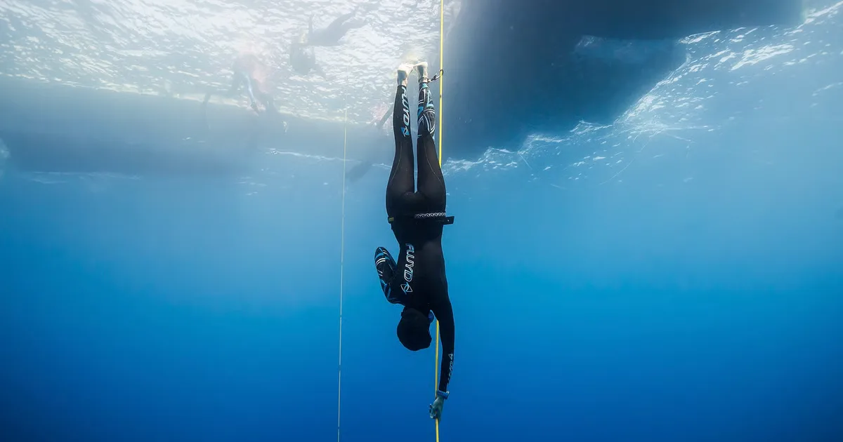 Feel Free Freediving website preview