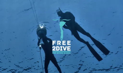 Free2Dive website preview