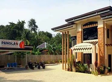 Freedive Academy Panglao website preview