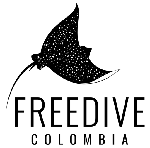 Freedive Colombia logo from its official website