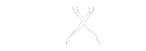 Freedive Dahab logo from its official website