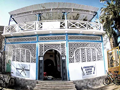 Freedive Dahab website preview