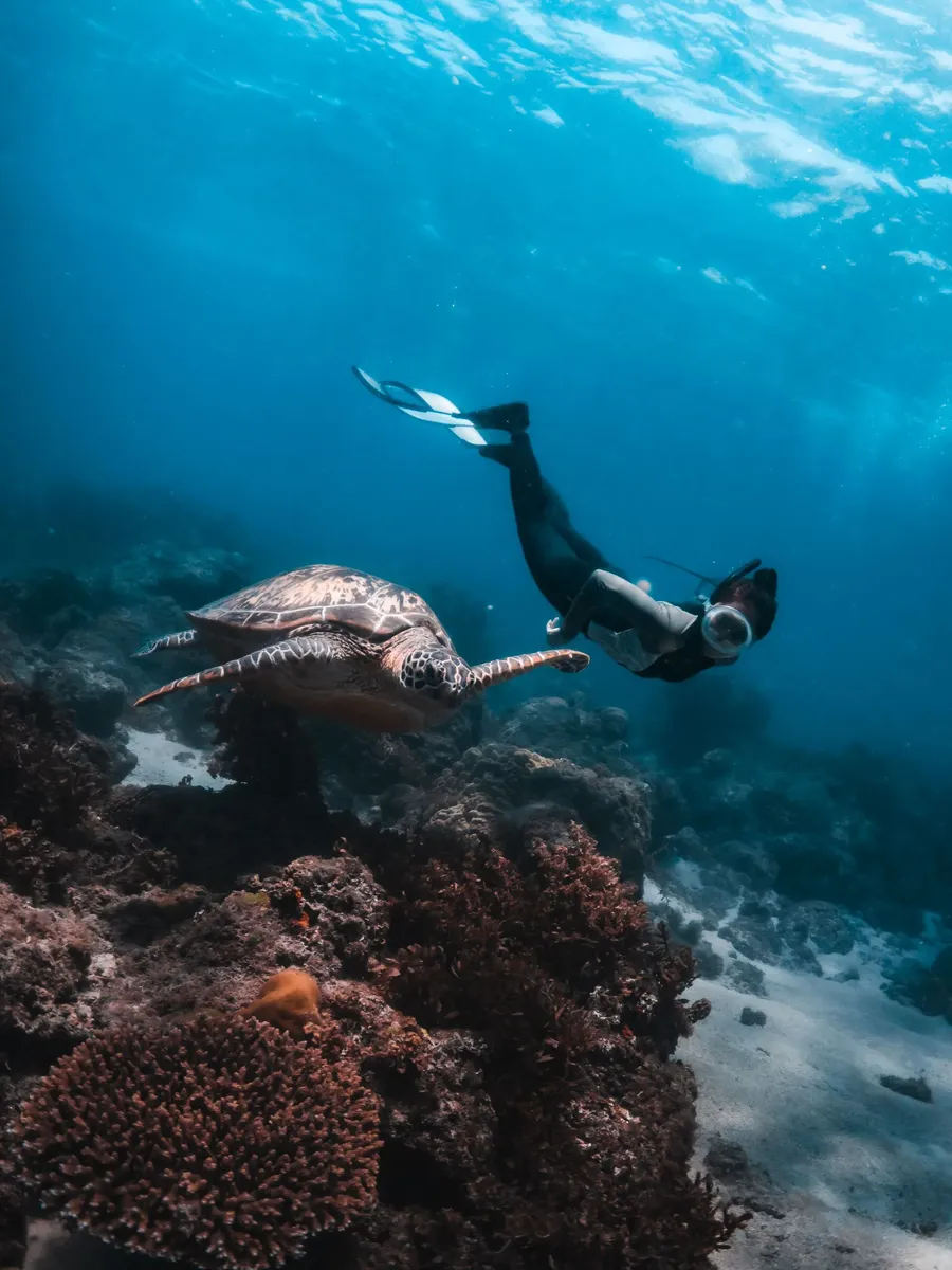 Freedive Nomad Taiwan website preview