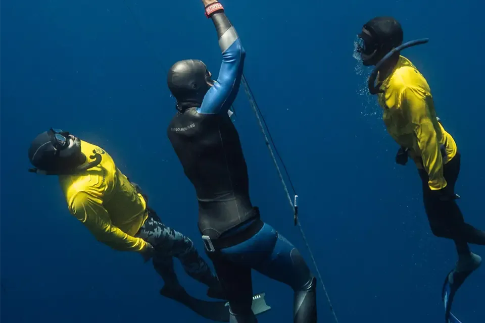 Freediving Caribbean School website preview