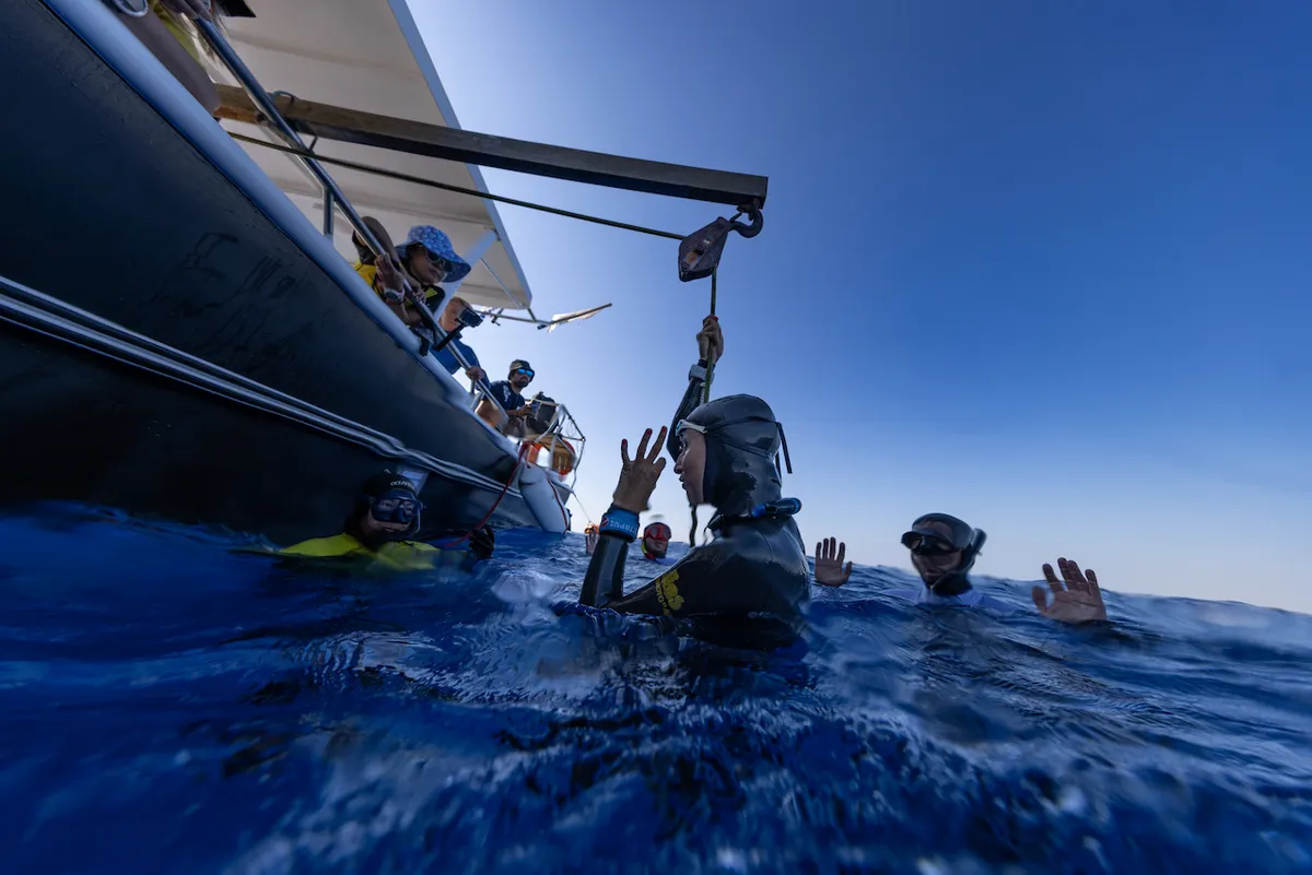 Freedom Diving website preview