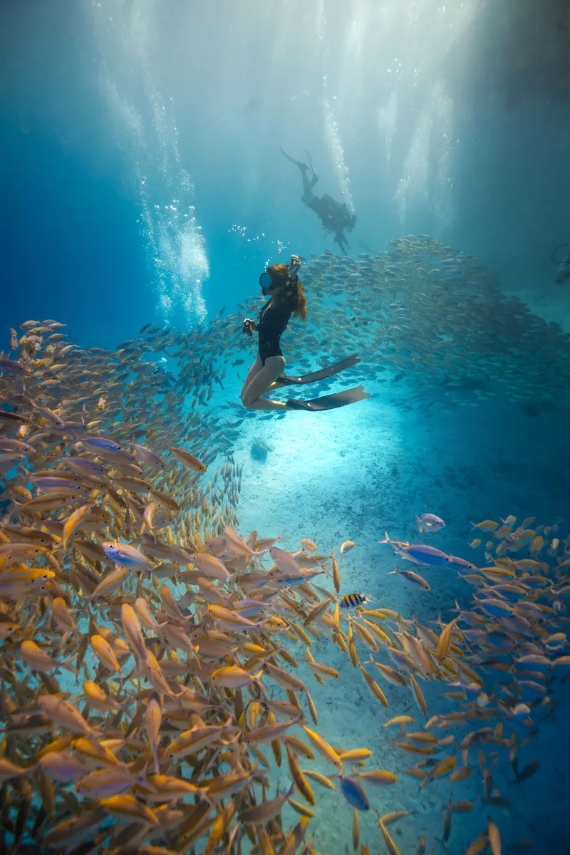 NĀMA Freediving Phuket website preview