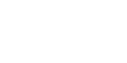 Natalia Molchanova Freediving School Vietnam logo from its official website
