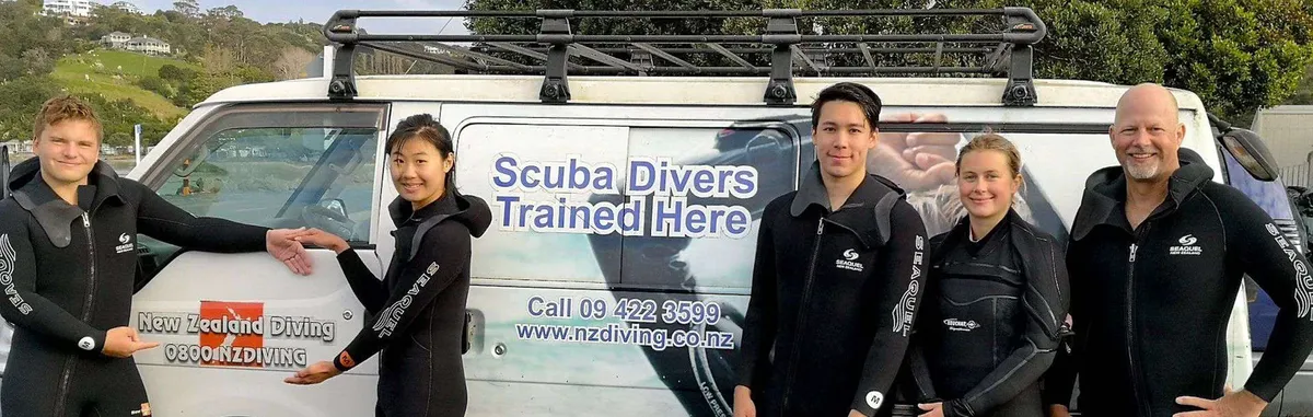 New Zealand Diving website preview