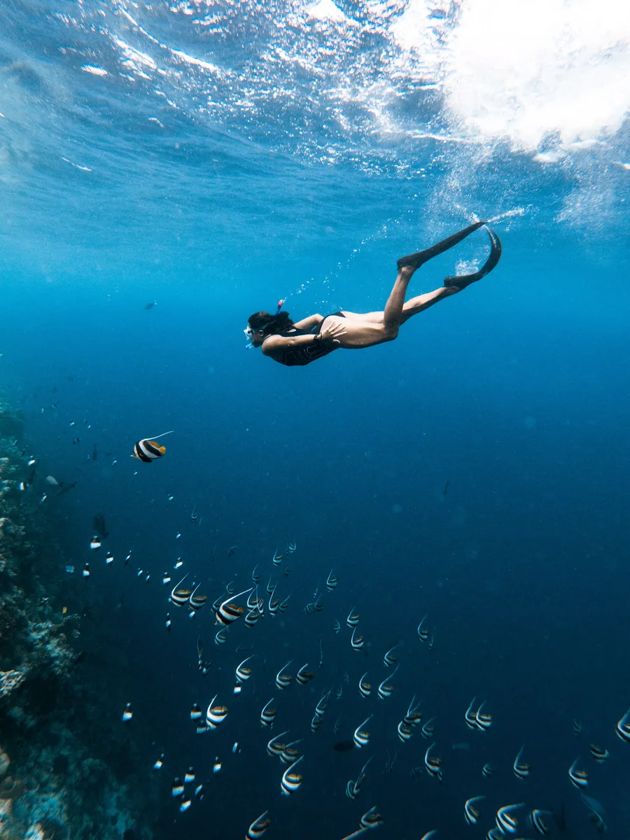 Vancouver Diving Home website preview