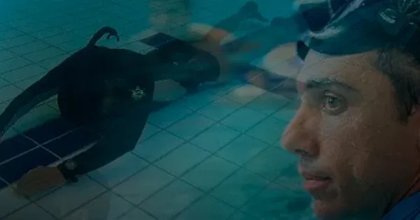 Você Performar / AIDA Freediving website preview