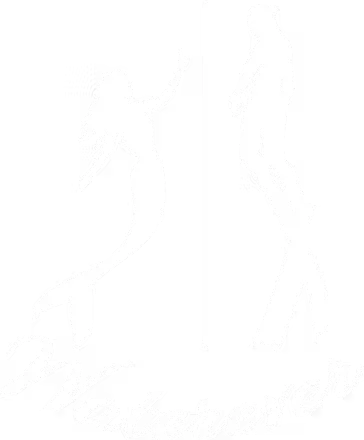 Waterever Freediving logo from its official website